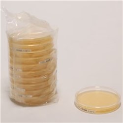 Tryptic Soy Agar - Ready-to-use Settle Plates - 20pkg