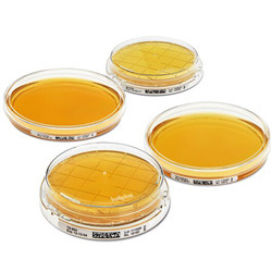 MacConkey Agar Contact - 20pkg