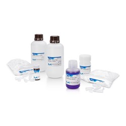 Auto2D® Glycine Type Reagent Kit - 1kit