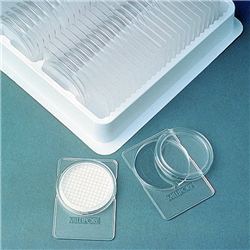 Petri dish - 150ea